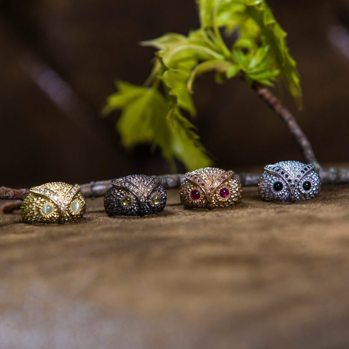 Collection Hibou : quatre bagues de caractère